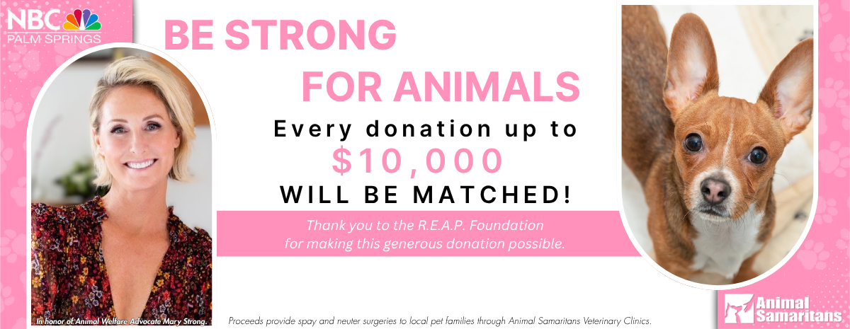 Be Strong for Animals